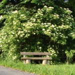 Sitzen, ruhen, geniessen