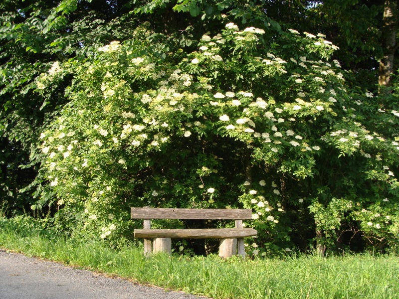 Sitzen, ruhen, geniessen