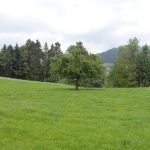 Aussicht beim Erwachen