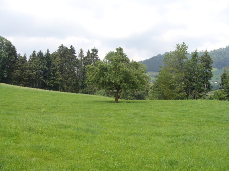 Aussicht beim Erwachen