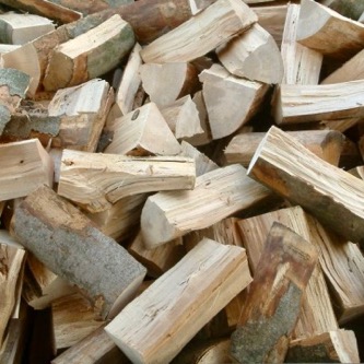 Buchenholz