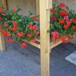 Sommerfreude