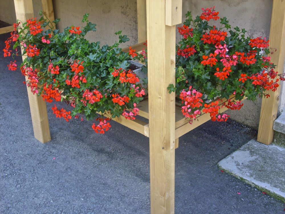 Sommerfreude